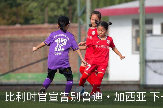 比利时官宣告别鲁迪·加西亚 下一任主帅是荷兰人？